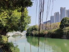 -光明港公园