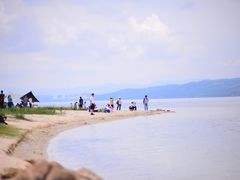 -阳宗海湿地