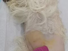 -爱侣宠医·鹦鹉专科·小型哺乳类·异宠专科(灵石路店)