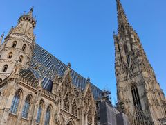 -斯蒂芬主教座堂(Stephansdom)