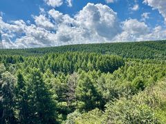 -塞罕坝国家级自然保护区