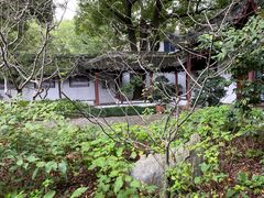-上海醉白池公园