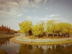 -上海海湾国家森林公园