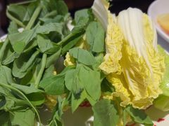 -董记老清泉·鲜切涮羊肉(窑岭店)