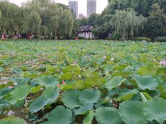-堤角公园