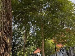 -上海大学(宝山校区)