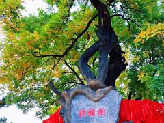 -八大处公园