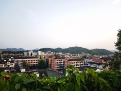 -罗亚帝·NASHOW纳秀形象设计