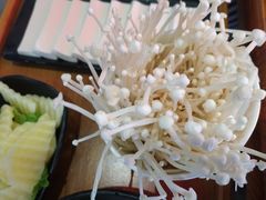 -捞围鲜·港式打边炉(海阳路店)