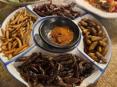 炸虫拼盘-多哥水傣味餐厅(司马巷店)