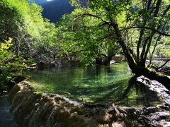 -黄龙山原始森林景区