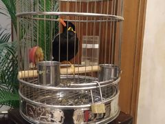-杭州香格里拉·香宫中餐厅