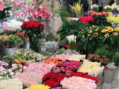 -双季花艺园艺市场(浦东店)