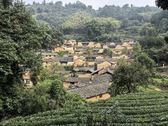 -杨家堂村