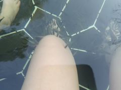 -海兰云天度假区温泉