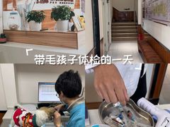 -派联宠物医院·24h·CT·异宠