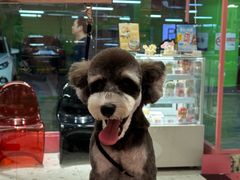 -FAELING PETS美天灵宠物(合生汇店)
