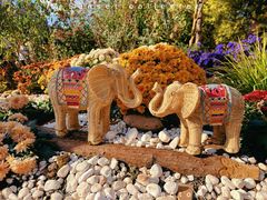 -上海共青森林公园