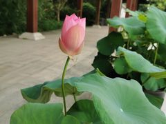 -法华学问寺-停车场