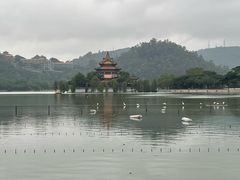 -顺峰山公园