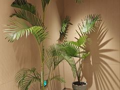 -广州花都希尔顿惠庭酒店