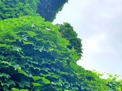 -天地生态农庄