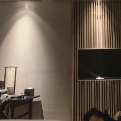 -合肥融创铂尔曼酒店·宴会厅