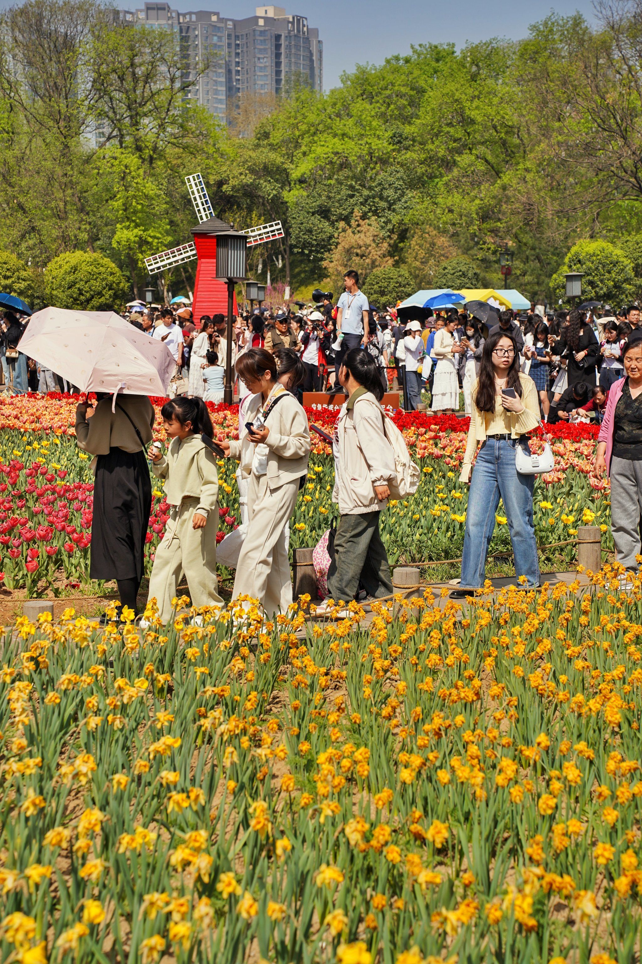 在西安春天哪里赏花,这个公园别错过7515