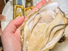 乳山超级大生蚝-揽季锅物会.福建黄鱼.海鲜姿造(五四路店)