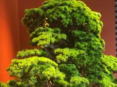-阿伟海鲜楼·福建菜(延寿店)