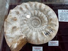 -福州科技馆