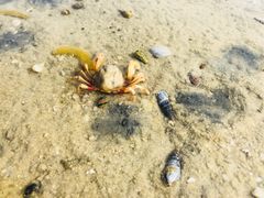 -北海金海湾红树林生态旅游区