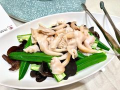 -海派美食·家宴海鲜青岛菜·石锅鲽鱼头(东方城店)