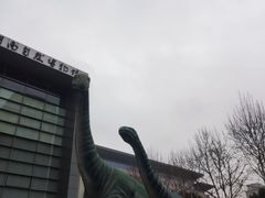-河南自然博物馆