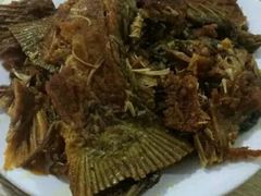 -金鹏鱼肉馆