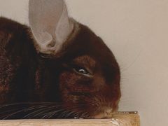 -龙猫仔乐园(惠福东路店)