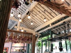 -喵屿·大理花园猫咖