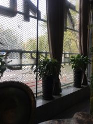 -木北造型