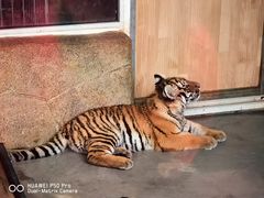 -大连森林动物园