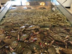 -孙家码头海鲜自助美食城