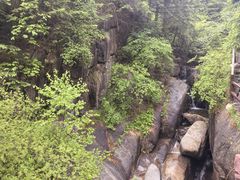 -芦芽山旅游度假区