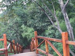 -大岭沟猕猴桃谷风景区