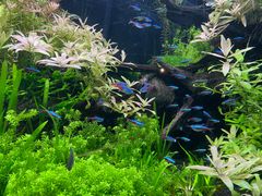 -上海海洋水族馆