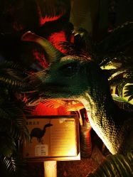 -恐龙探索乐园(磁器口店)