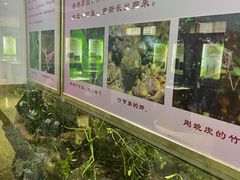 -上海昆虫博物馆