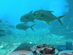 -海棠湾洲际-涛·海底餐厅·美人鱼·自助餐·海底隧道