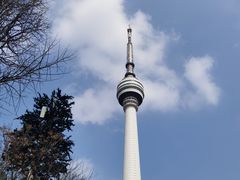 -龟山风景区-龟山电视塔