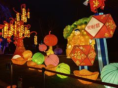 -武汉园博园(武汉自然博物馆)