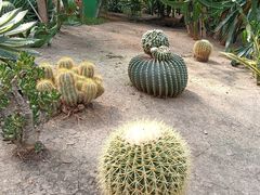 -长春农业博览园