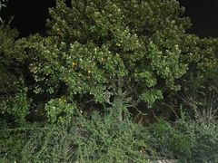 -华夏良子·足道SPA艾灸(山东大厦店)